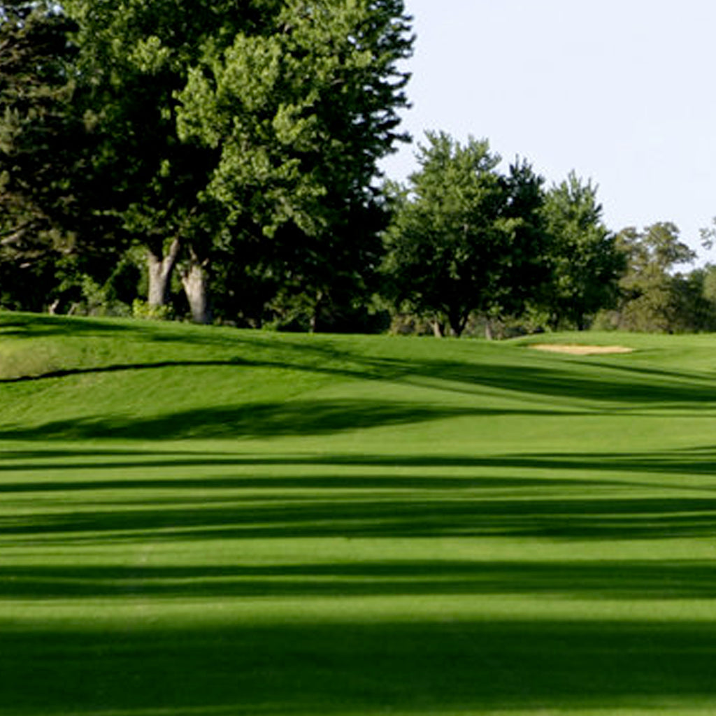 MISCUGLIO SEME BARENBRUG BERMUDA MONACO - Kg 5