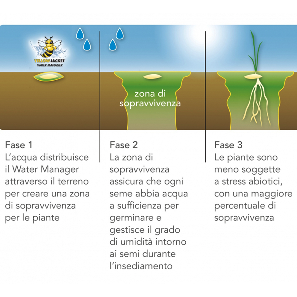 MISCUGLIO SEME BARENBRUG BERMUDA MONZA - gr 500
