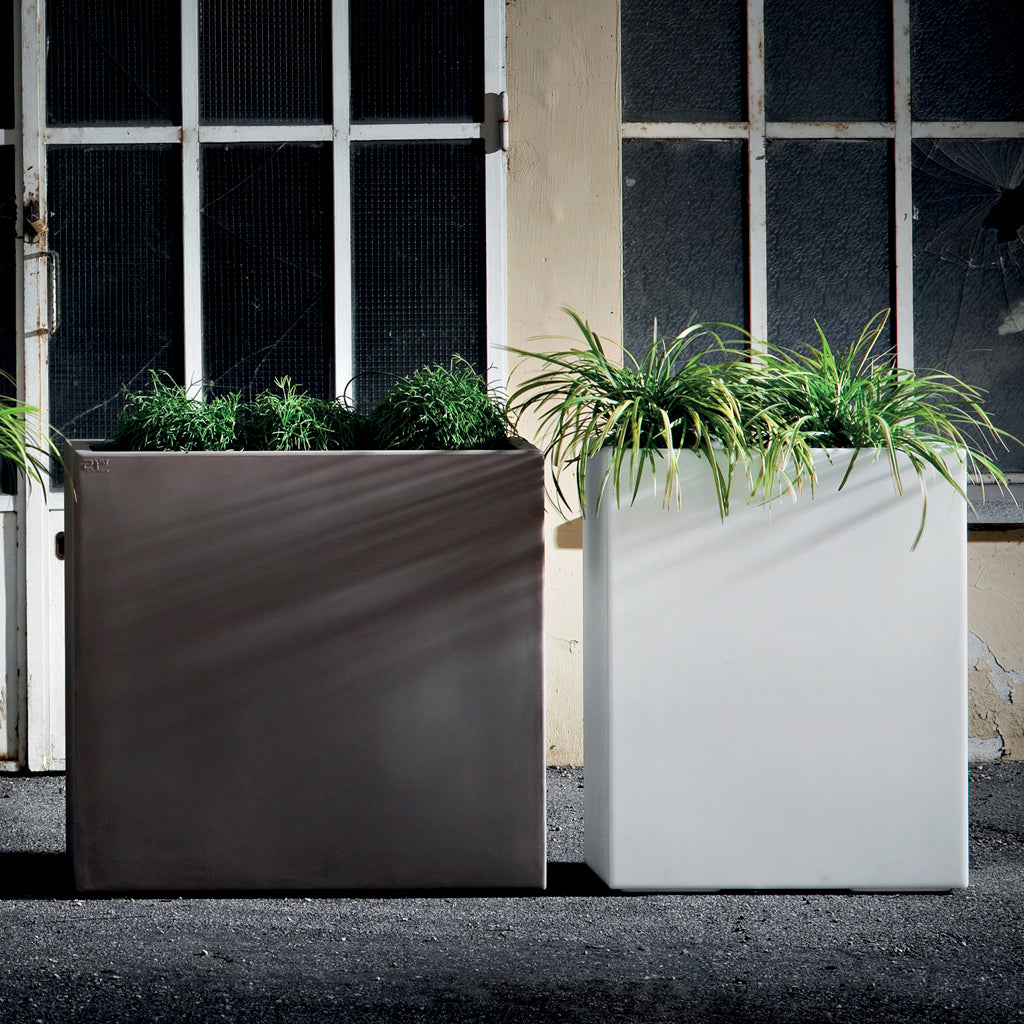 CASSETTA FENICE ALTA - varie tipologie