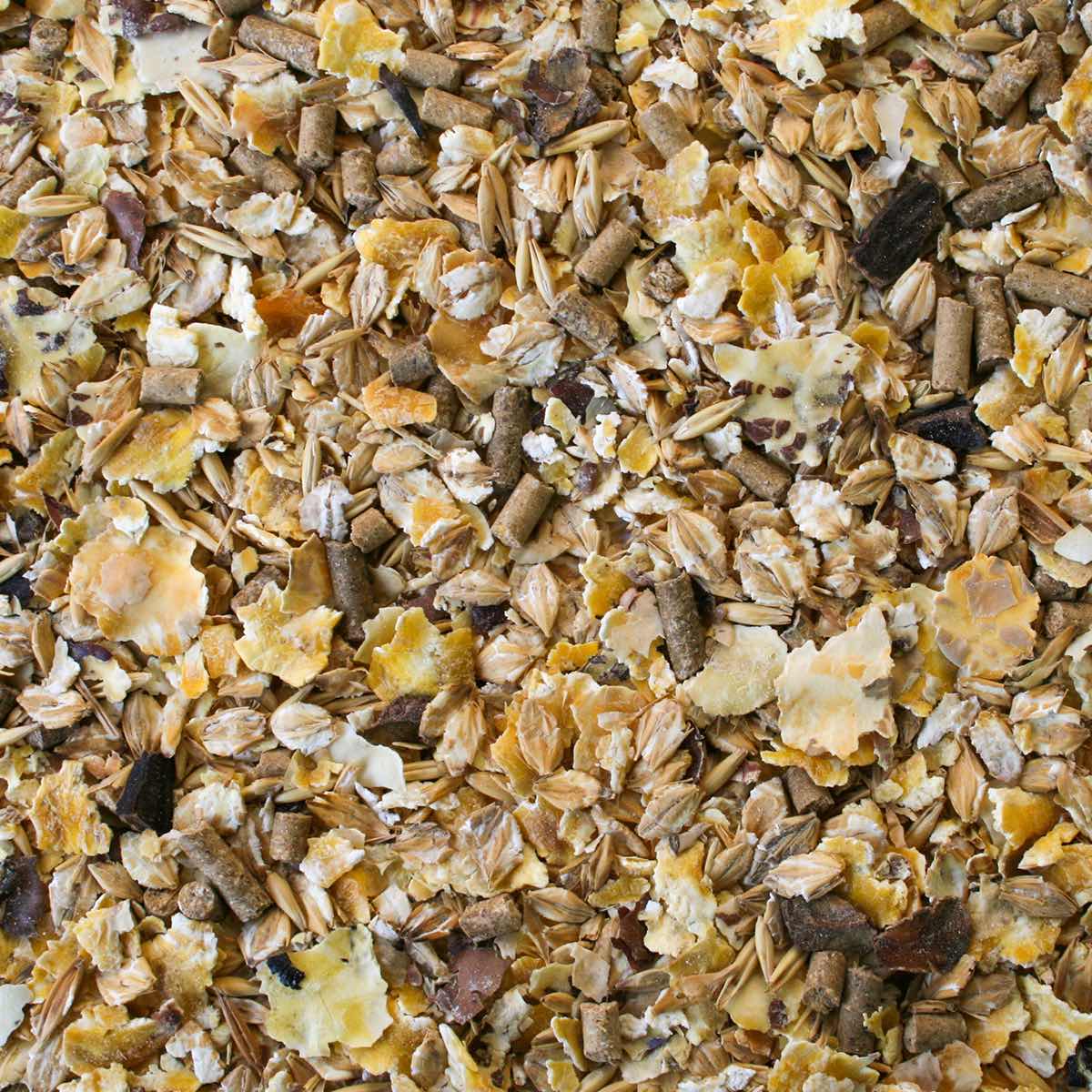 FIOKAVALLI 12 - mantenimento - fioccato - NO OGM - Kg 20