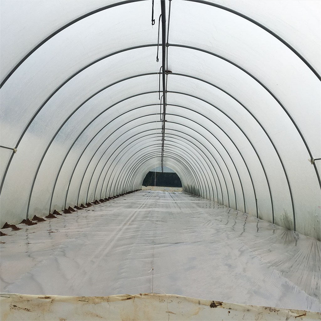 FILM PE - LONG LIFE spessore mm 0,20 - a misura varie larghezze