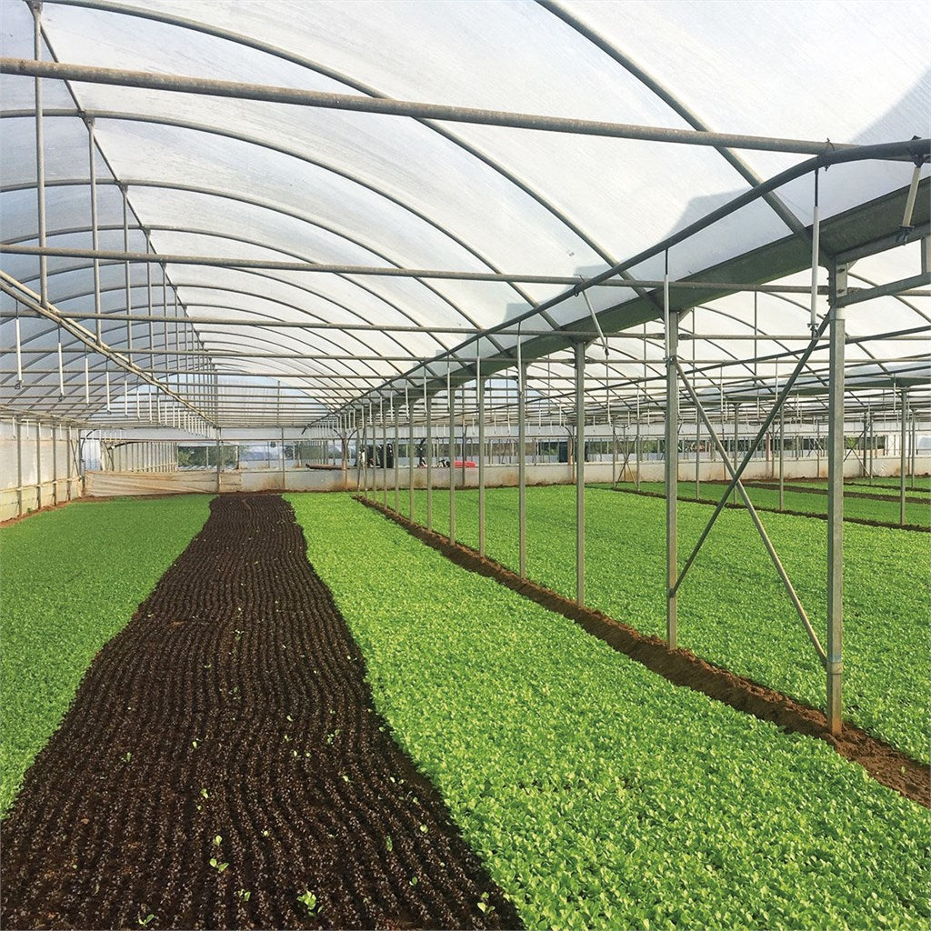 FILM MULTIEVA durata 42 mesi - spessore mm 0,20 - a misura varie larghezze