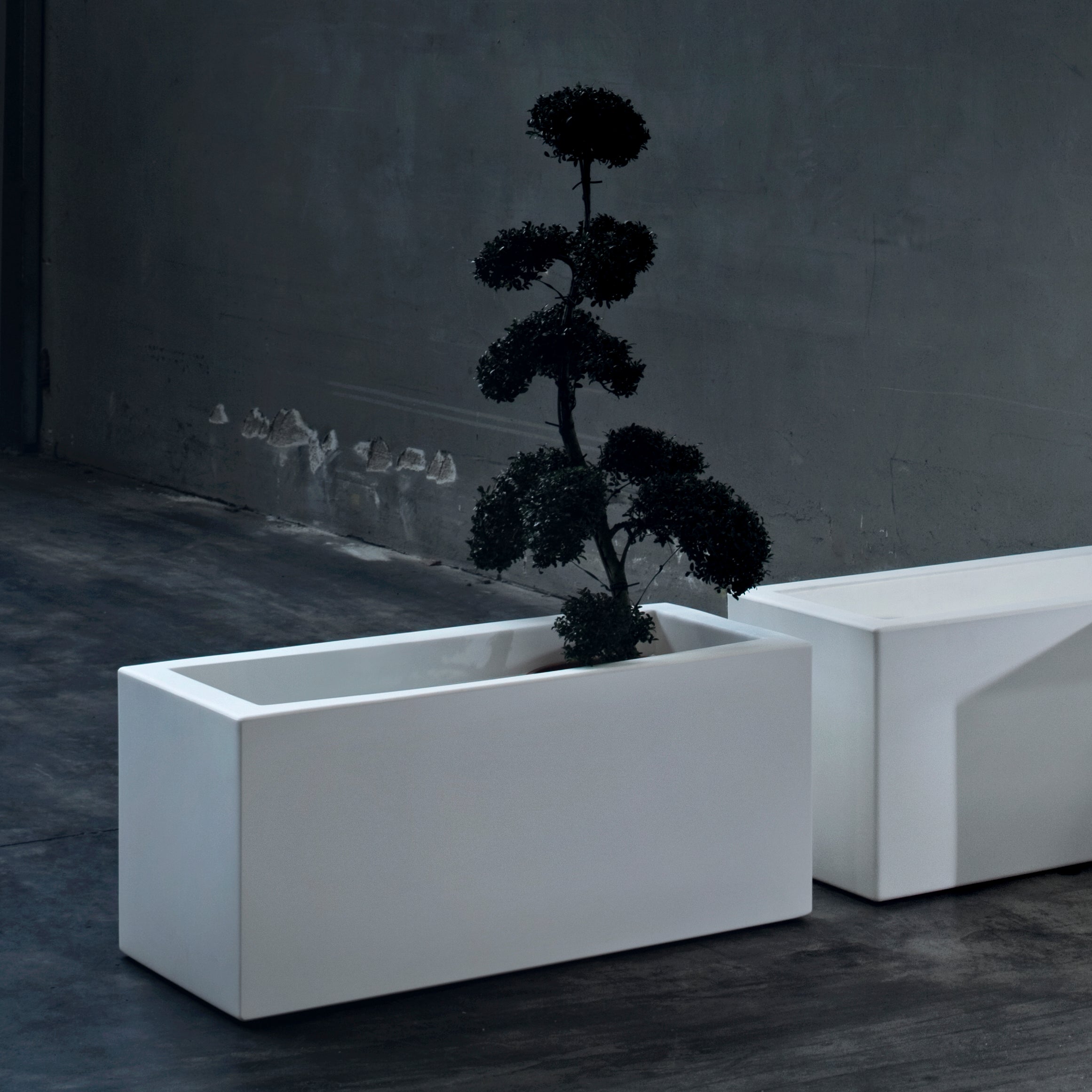 CASSETTA FENICE BOX - varie tipologie