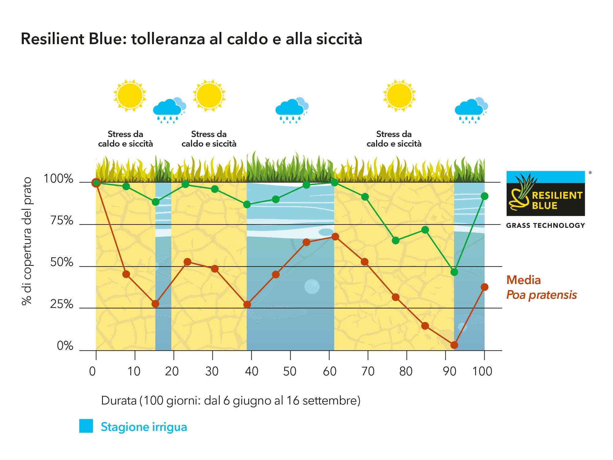 MISCUGLIO SEME BARENBRUG RESILIENT BLUE SPORT - Kg 15