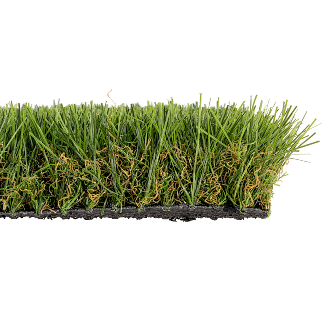 CAMPIONE INTENSO 45mm