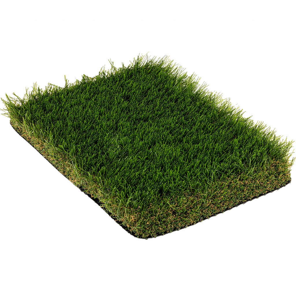 CAMPIONE INTENSO 45mm