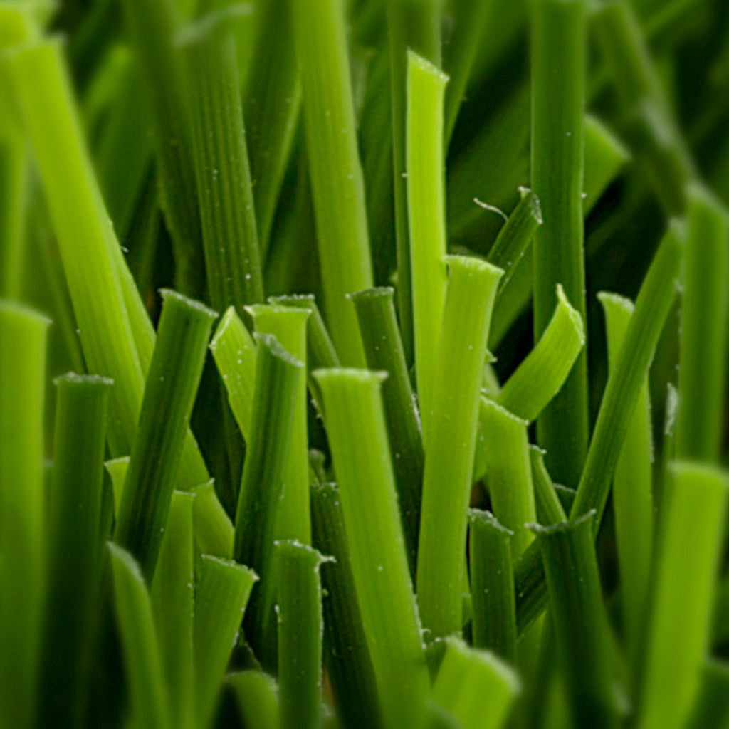 PRATO SINTETICO INTENSO 45mm