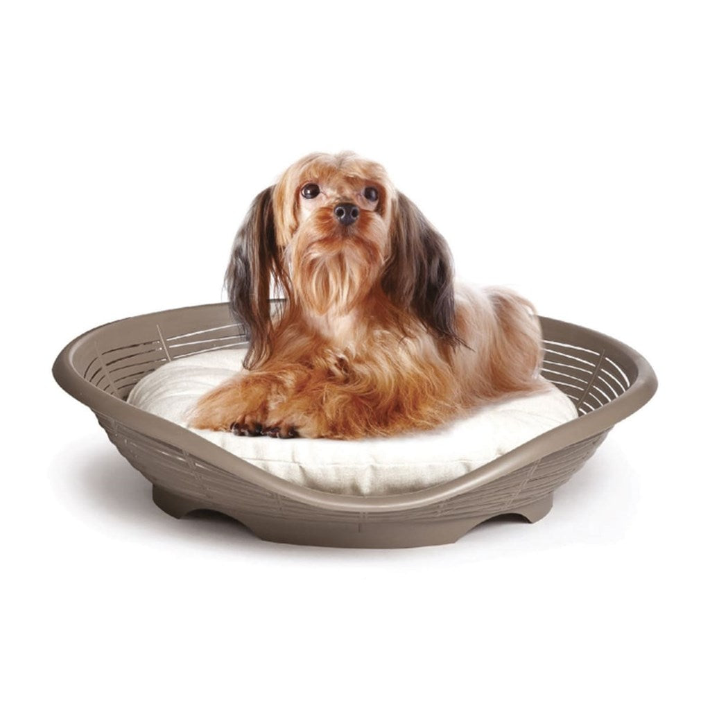 LETTINO PASHA CON CUSCINO - col. tortora o antracite