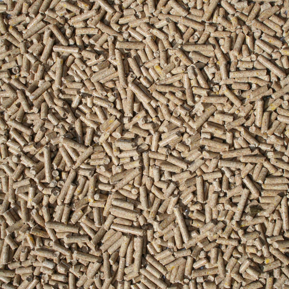 AGNELLI - svezzamento - pellet - Kg 25