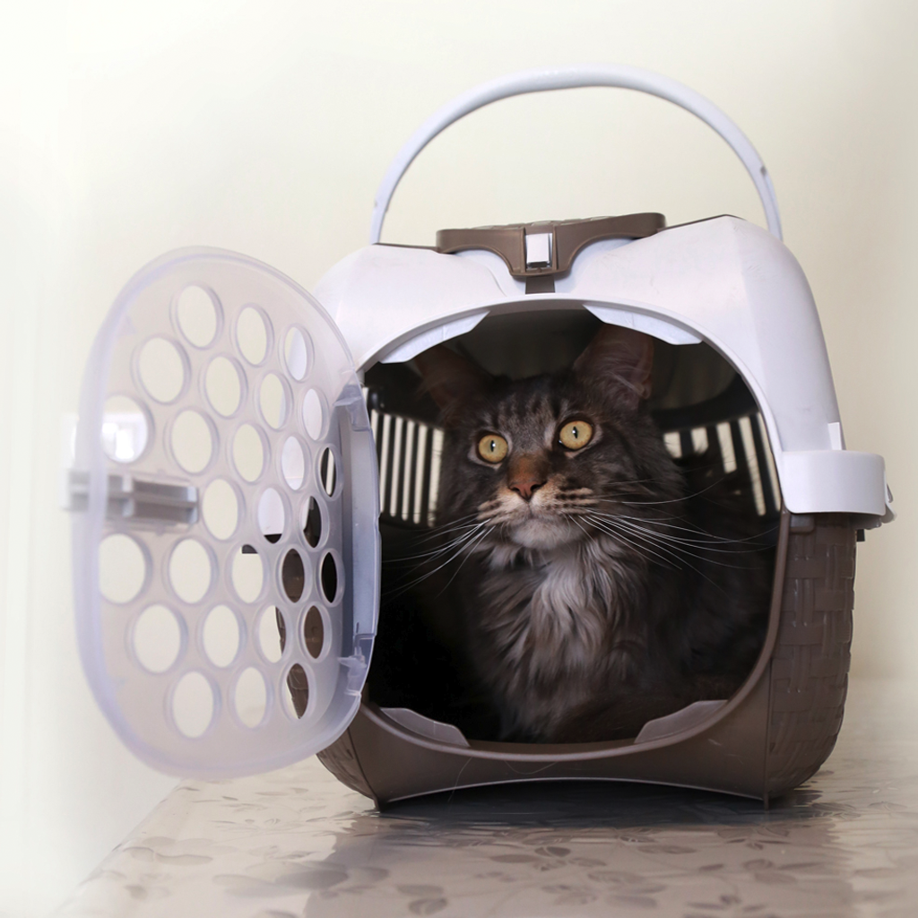 CUSCINO PER CANI E GATTI COMFORT