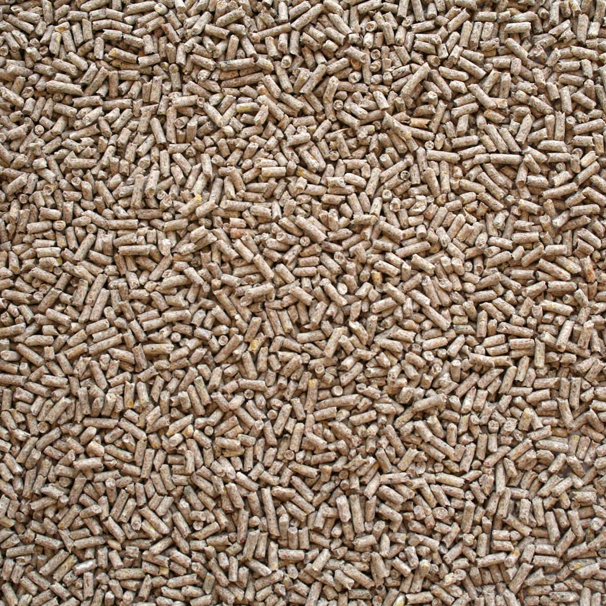 UCCELLI CIP - PER UCCELLI DA RICHIAMO IN GABBIA - Kg 10