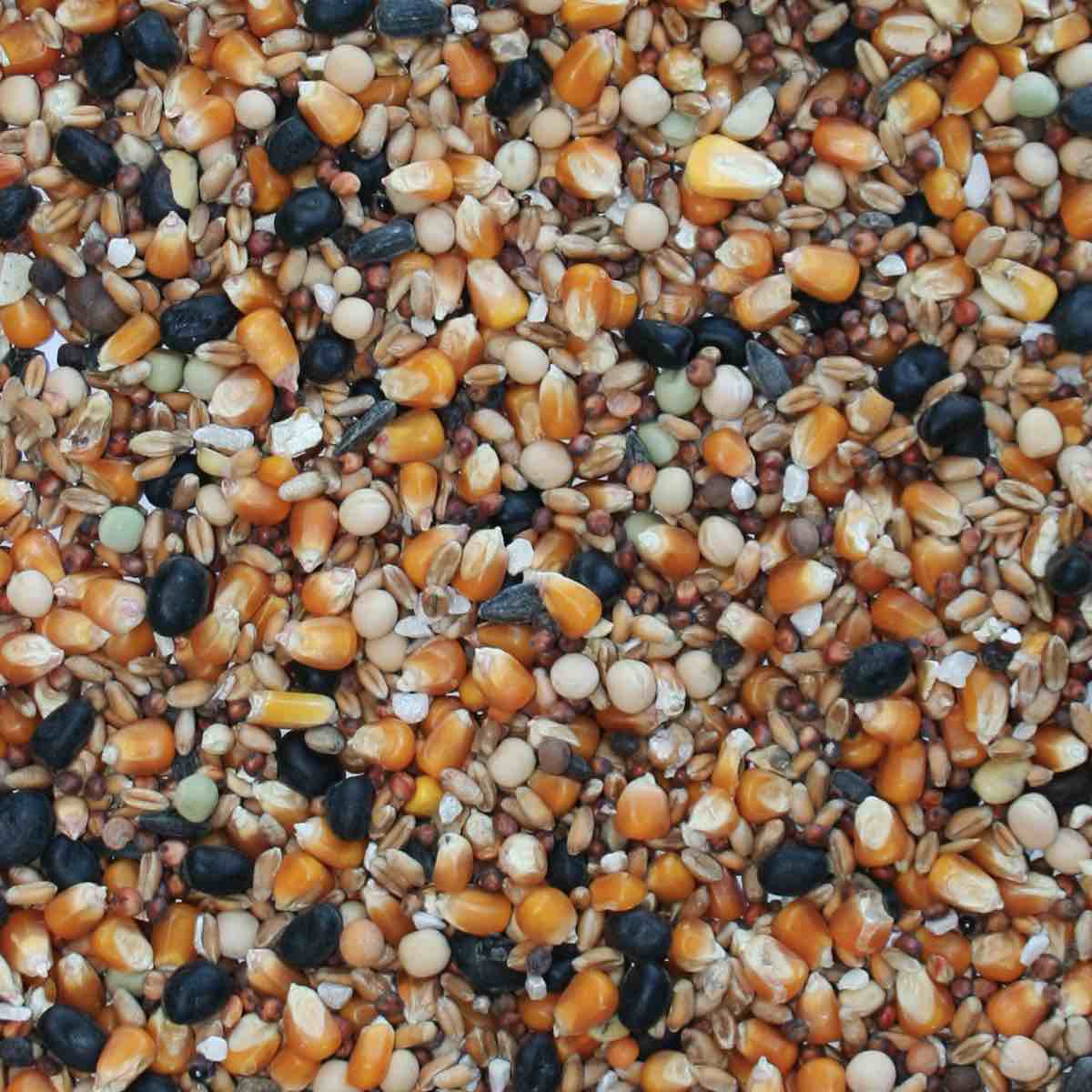 COLOMBI BRILL RURAL - allevamento - granaglie intere - NO OGM - Kg 25