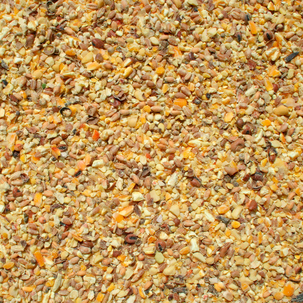 NUTRIEXTRA CON FAVA - 2°/3° periodo - granaglie - NO OGM - Kg 25