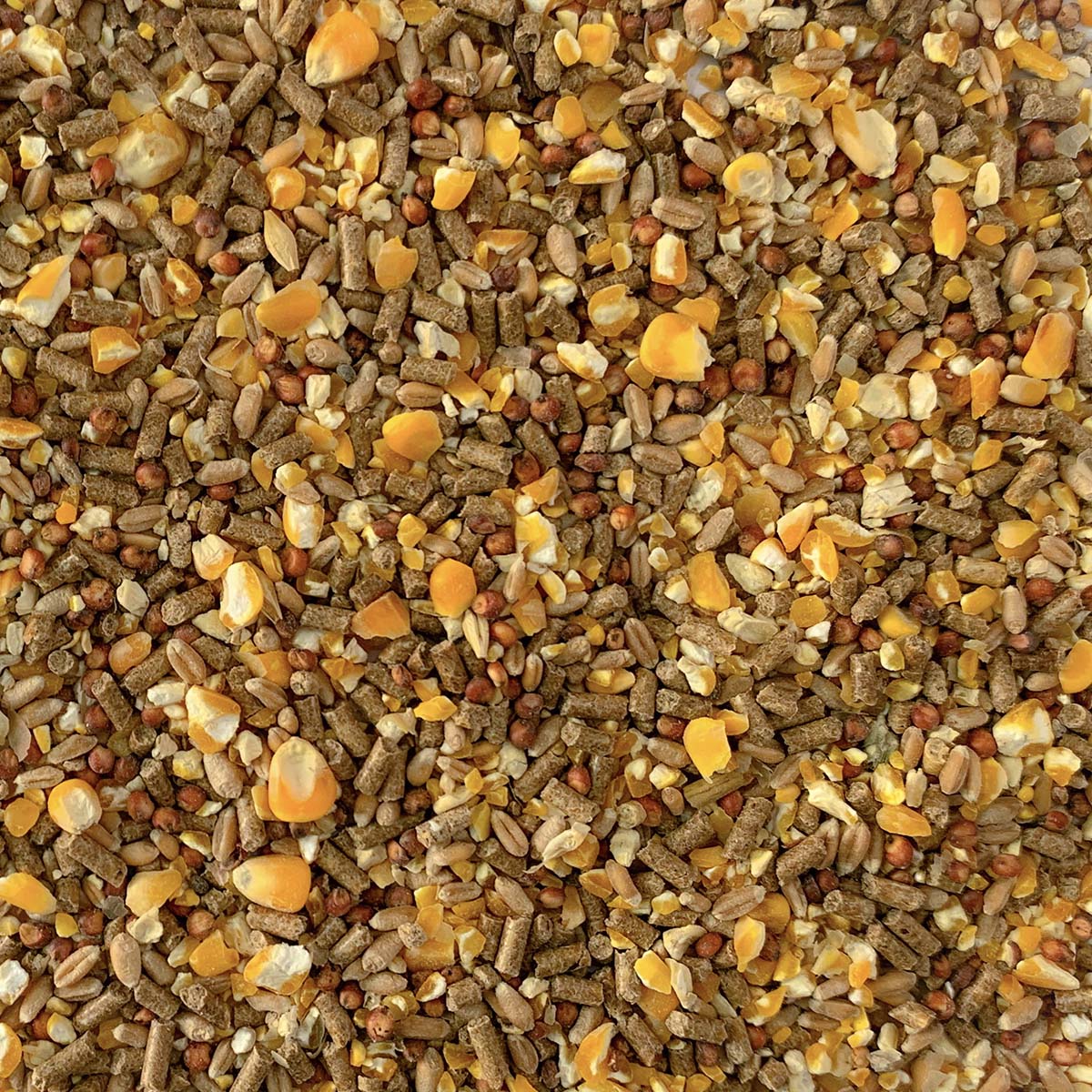 NUOVO CHICCO D'ORO - 2°/3° periodo - granaglie con pellet - NO OGM - Kg 25