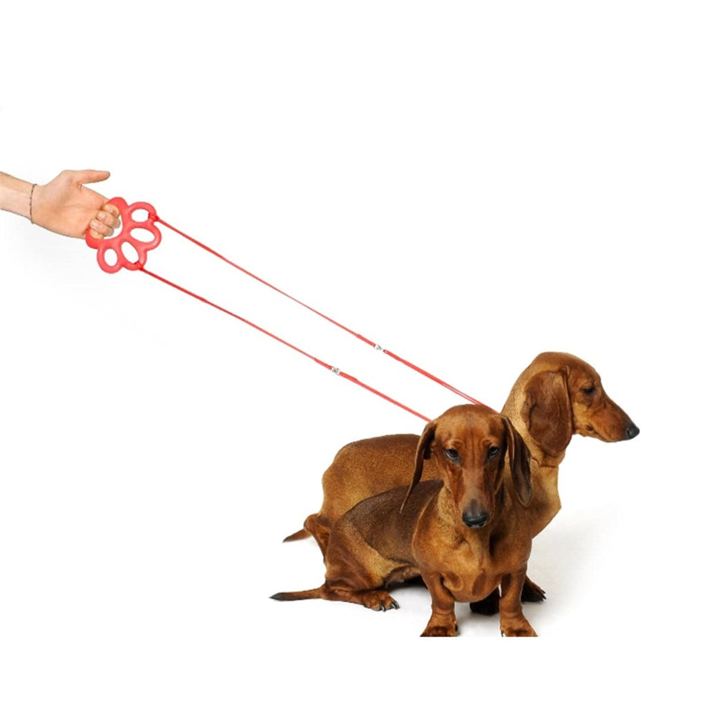 GIOCHI CANI ORMA - varie misure