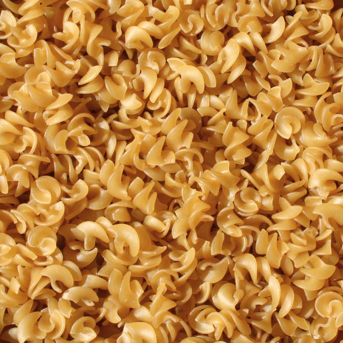 PASTA PRECOTTA - Kg 5