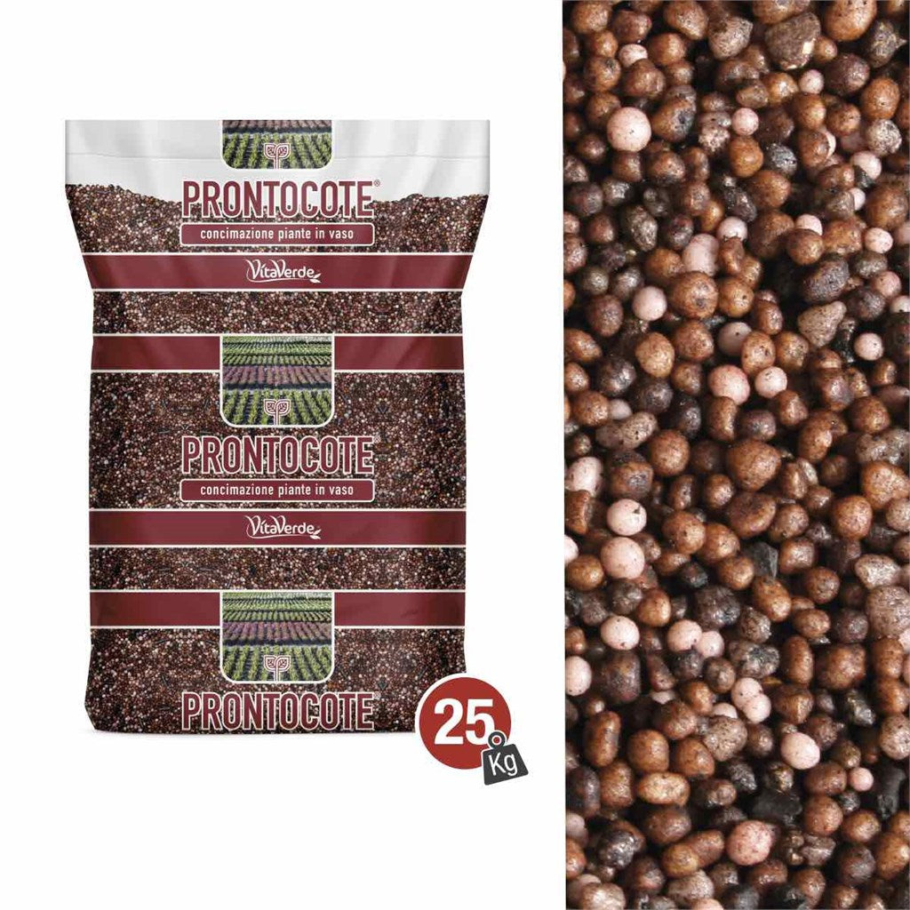 N. 7 PRONTOTOTE 4S (19-10-11+3Mg+10S+Fe) - 4 MESI - con collante - Kg 25