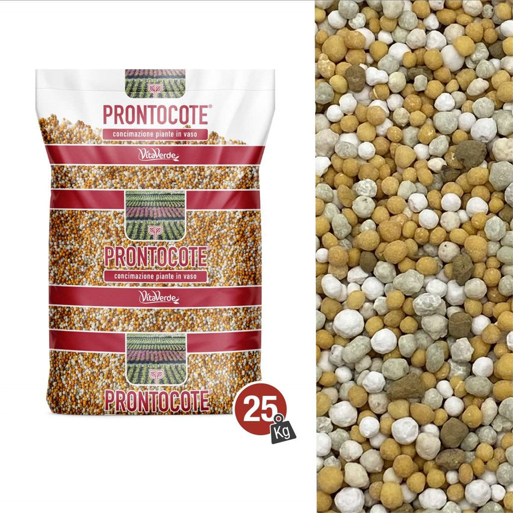 N. 5 PRONTOCOTE 6m (19-10-11+3Mg+10S+0,5Fe) - 6 MESI - Kg 25