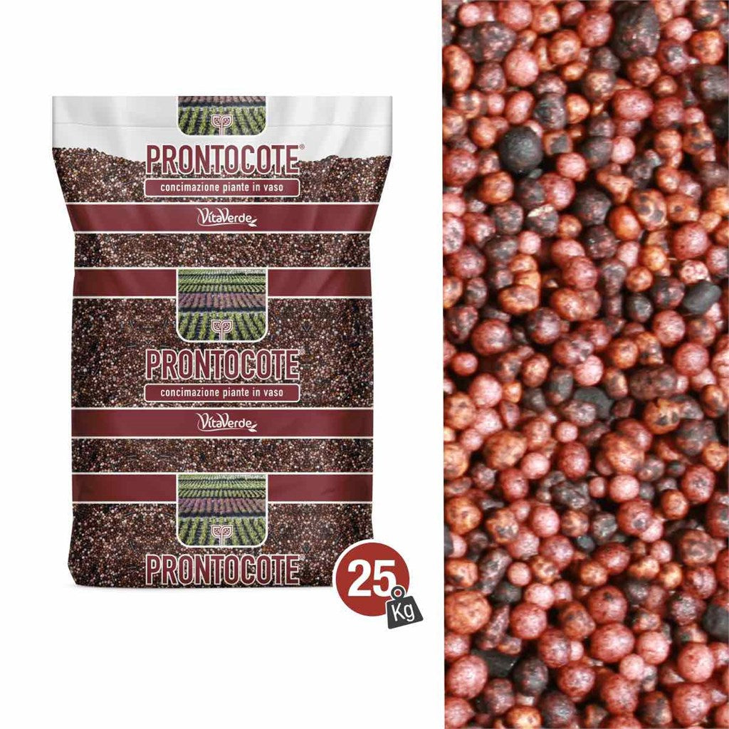 N. 15 PRONTOCOTE 6S SLOW (22-8-7,5+3,3Mg+Fe) - 6 MESI - con collante - Kg 25