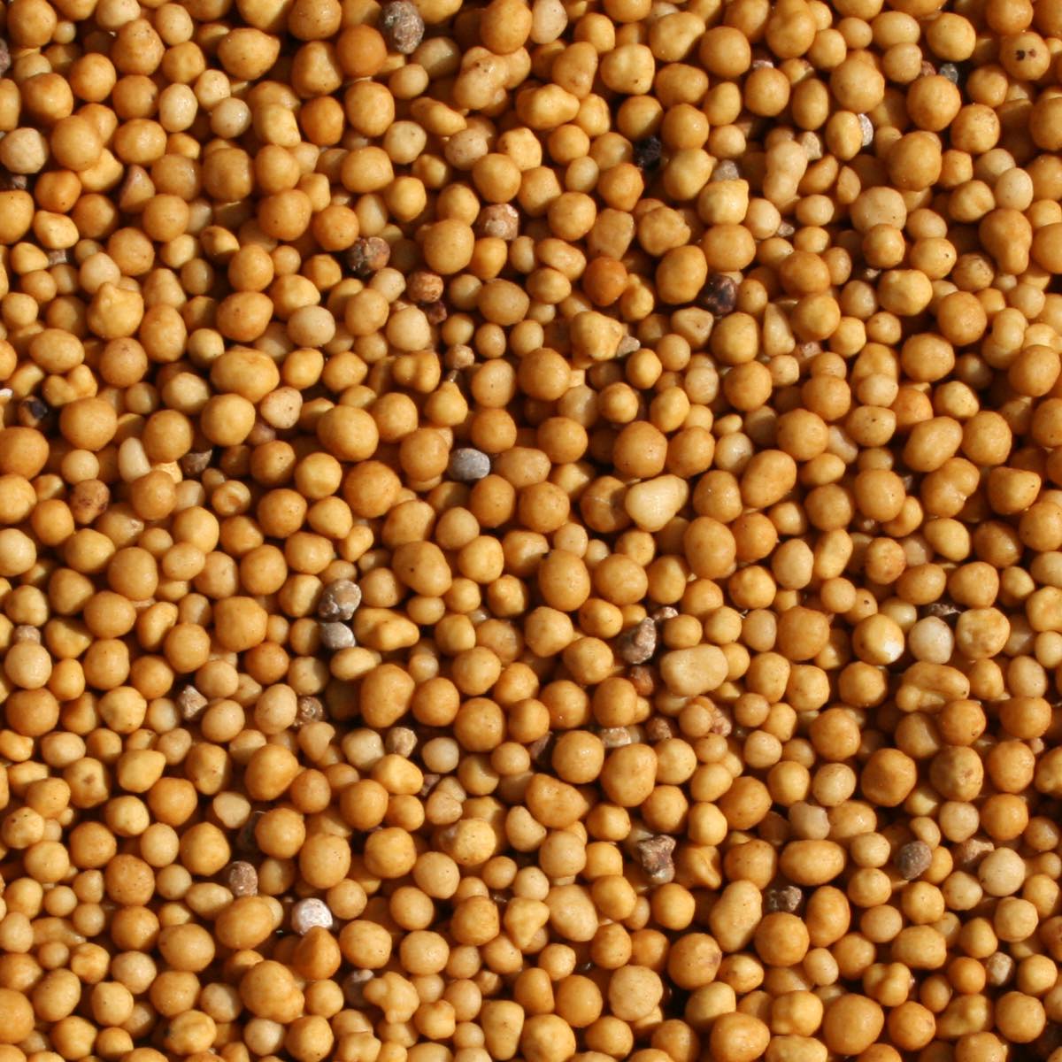 N. 12 PRONTOCOTE 12T TERRICCIO (18-10-14+3Mg) - 12 MESI - Kg 25