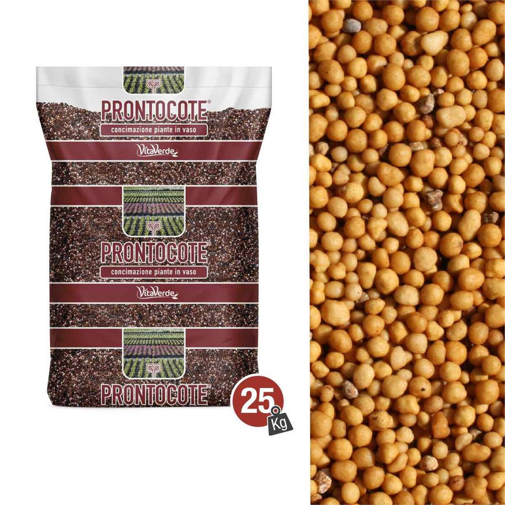 N. 12 PRONTOCOTE 12T TERRICCIO (18-10-14+3Mg) - 12 MESI - Kg 25