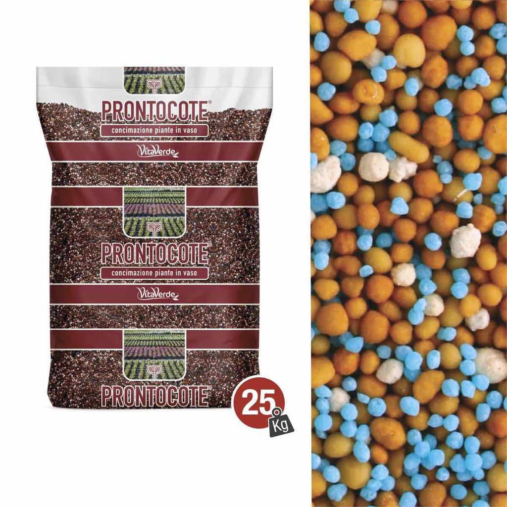 N. 14 PRONTOCOTE 12 SLOW TERRICCIO (18-10-14+3Mg) - 10/12 MESI - Kg 25