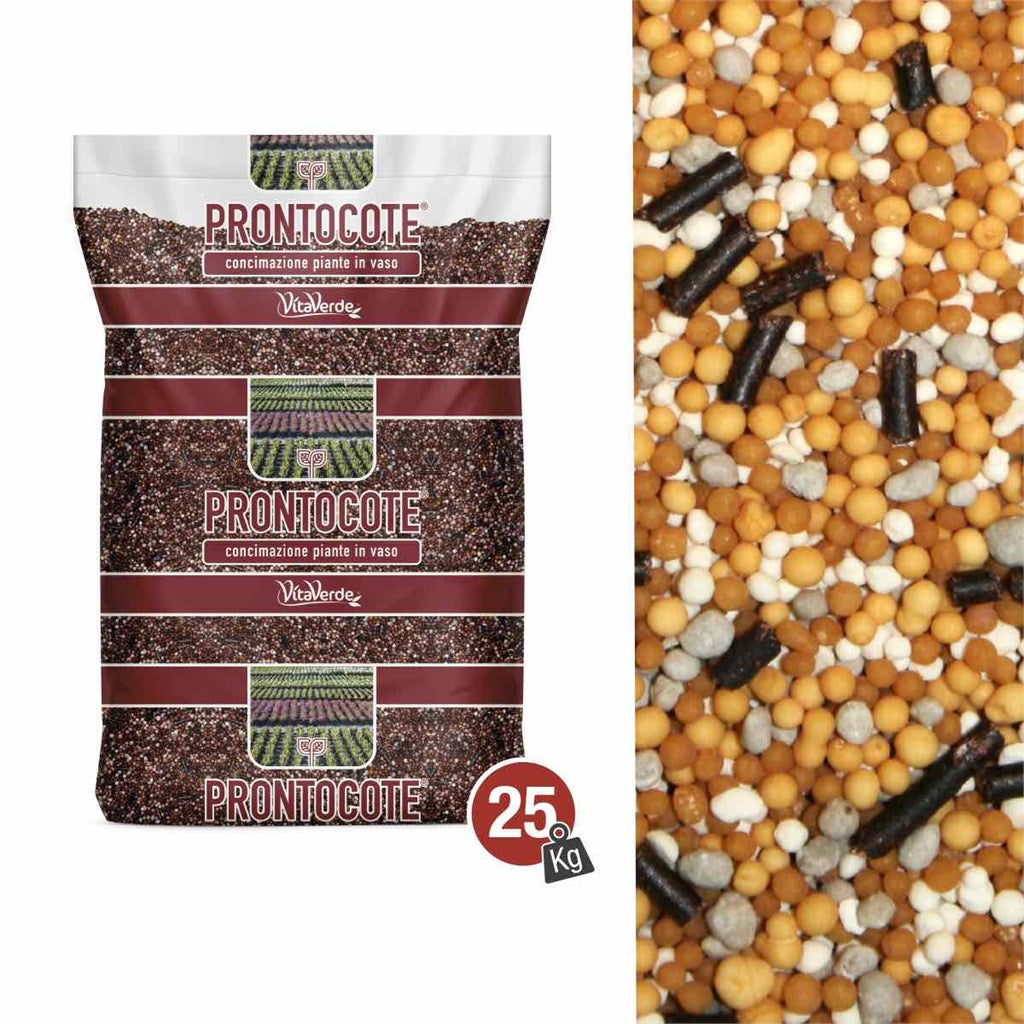 N. 4 PRONTOCOTE 6VG (16,5-10-15,5+3,8Mg+Fe) - 6 MESI - Kg 25