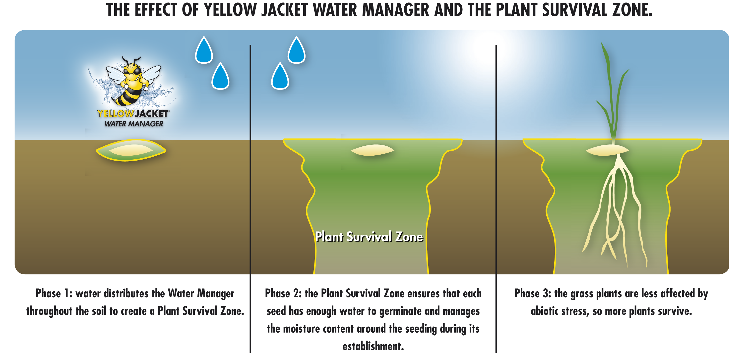 MISCUGLIO SEME BARENBRUG BERMUDA MONACO - Kg 5