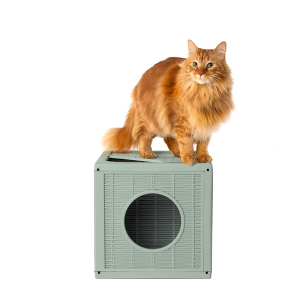 CUCCIA/GIOCO QUBLO - vari colori