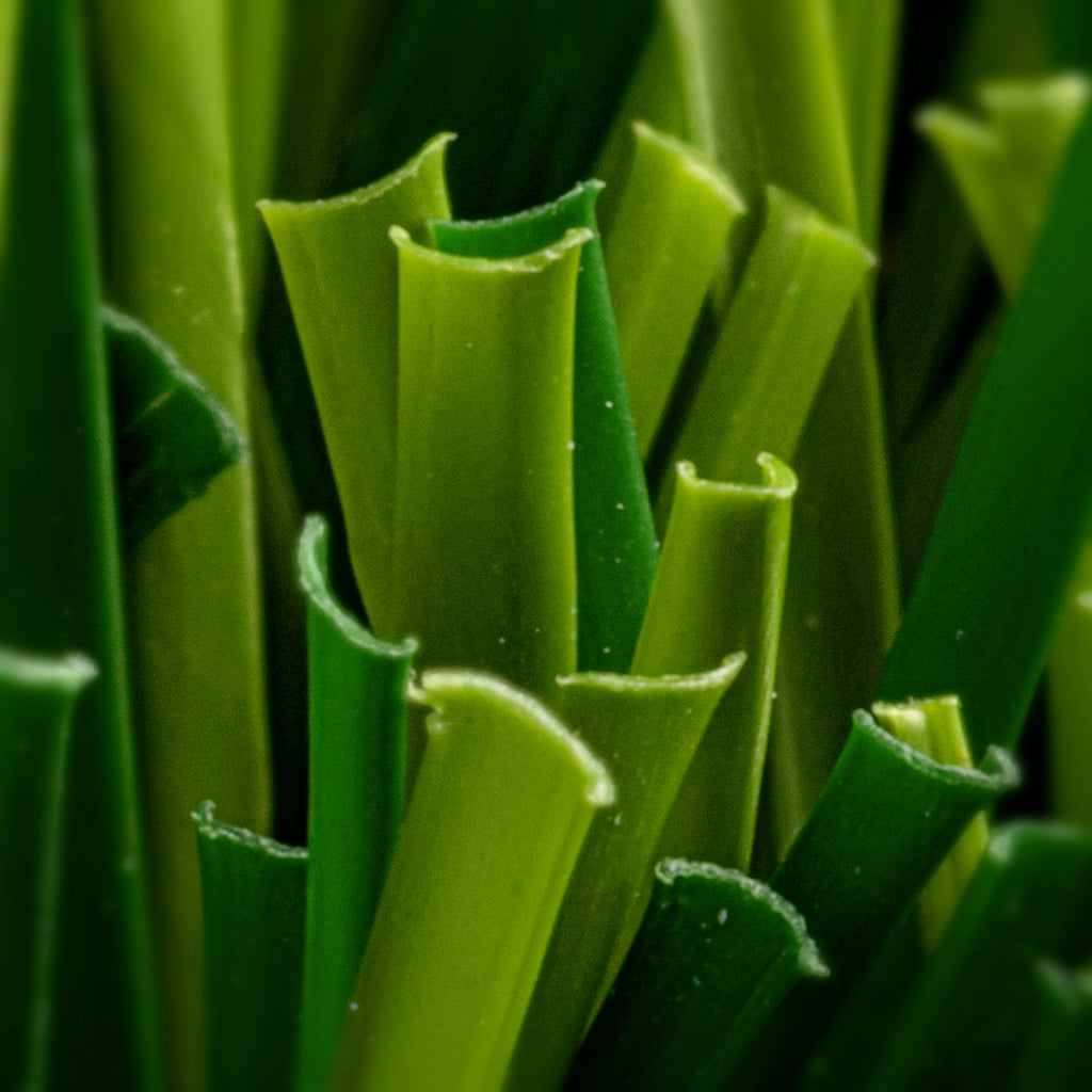 PRATO SINTETICO REALE 35mm