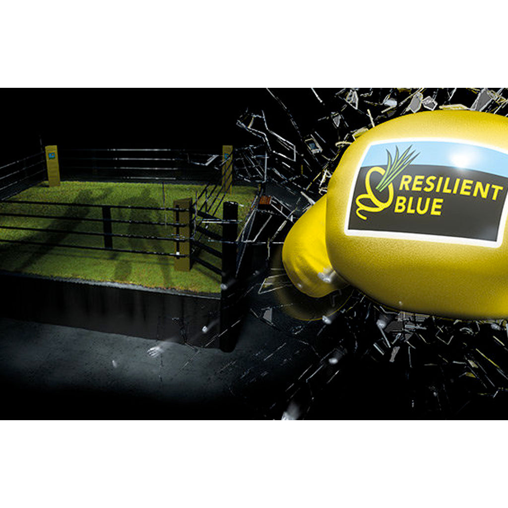 MISCUGLIO SEME BARENBRUG RESILIENT BLUE LAWN - varie confezioni