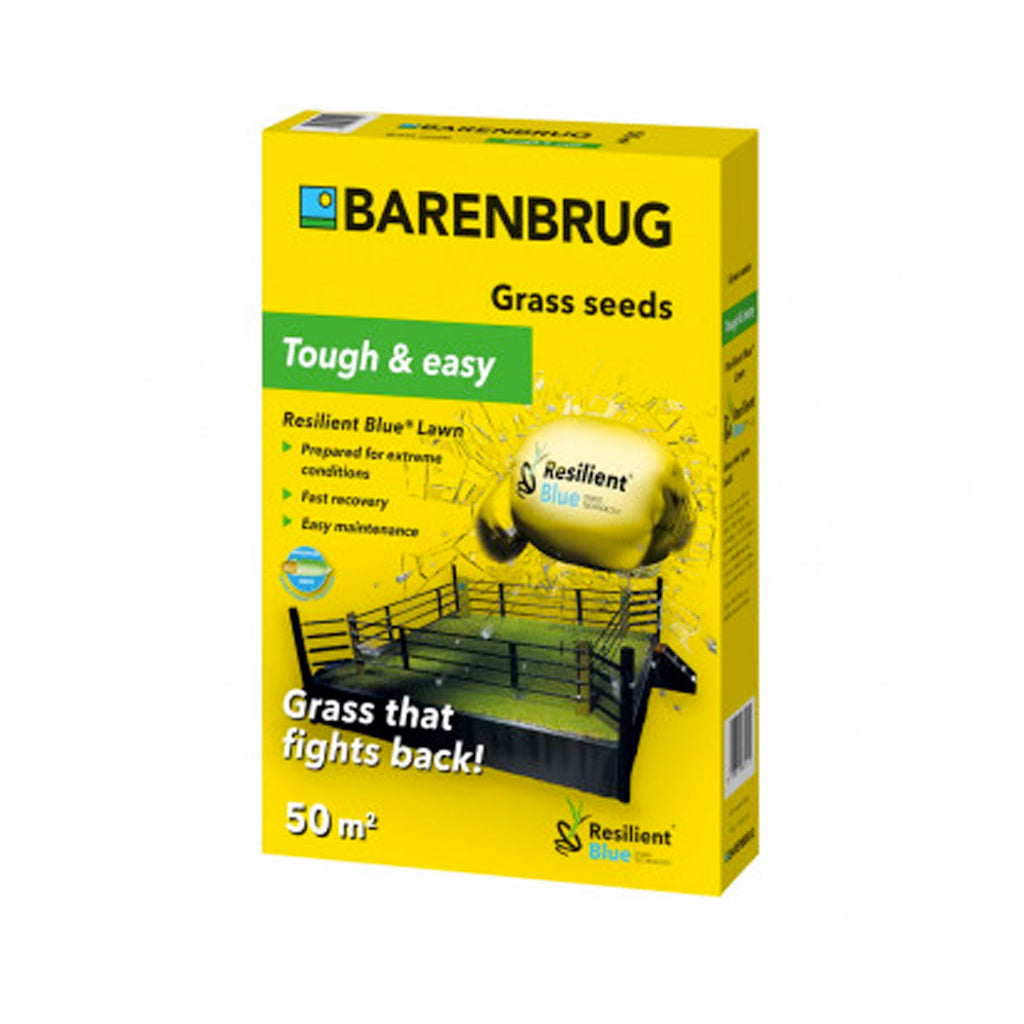 MISCUGLIO SEME BARENBRUG RESILIENT BLUE LAWN - varie confezioni