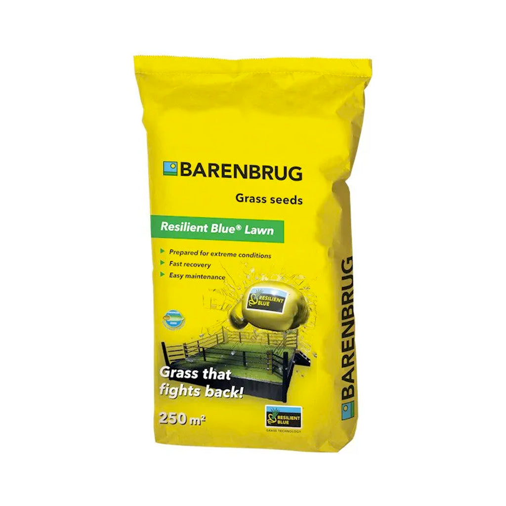 MISCUGLIO SEME BARENBRUG RESILIENT BLUE LAWN - varie confezioni