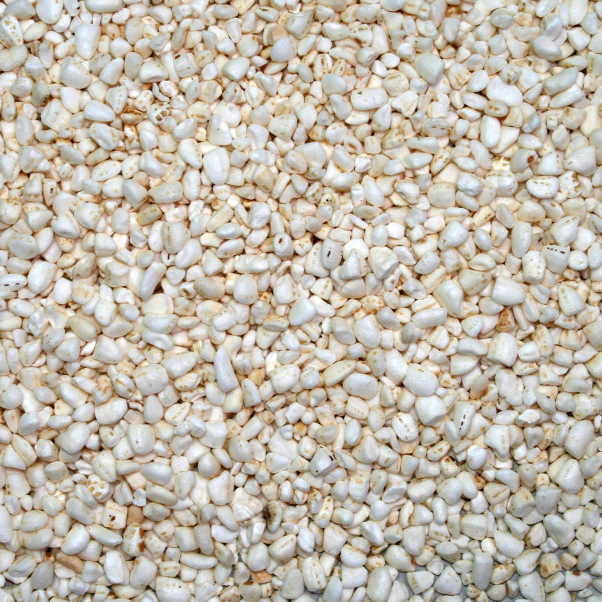 RISO SOFFIATO - Kg 1 e Kg 5