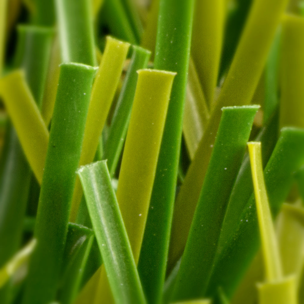 PRATO SINTETICO TRADIZIONE 30mm