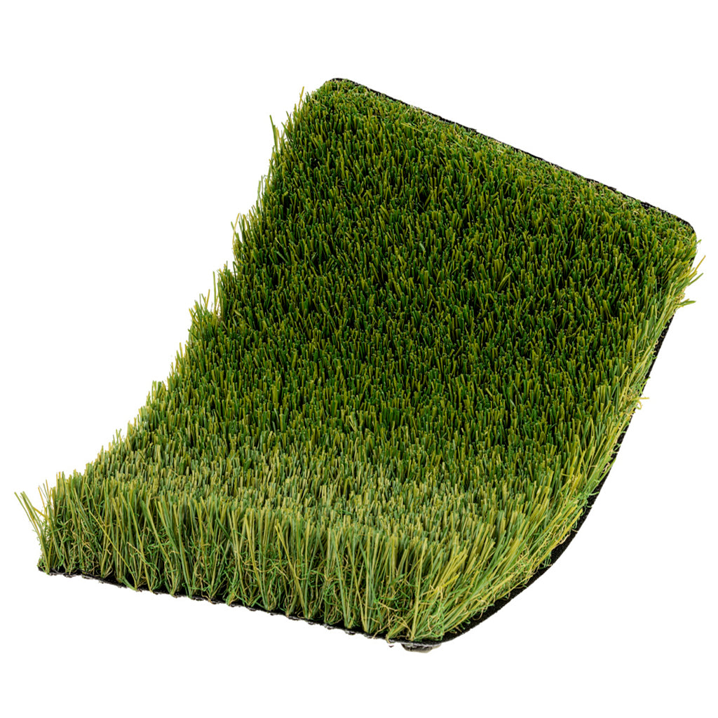 CAMPIONE TRADIZIONE 40mm