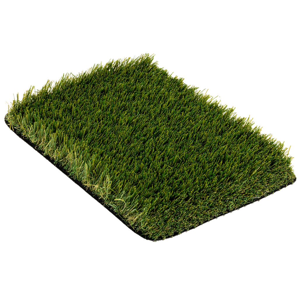 CAMPIONE TRADIZIONE 40mm