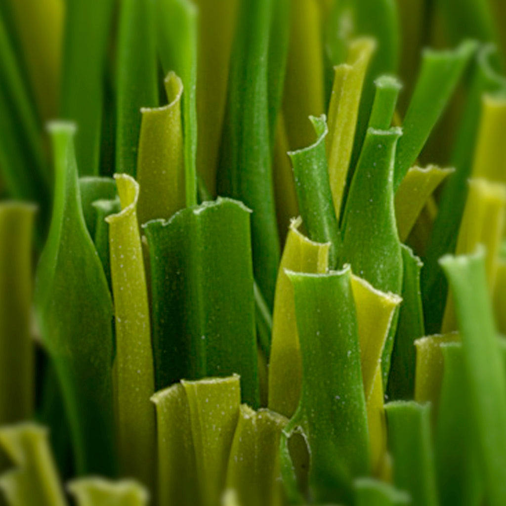 PRATO SINTETICO TRADIZIONE 40mm