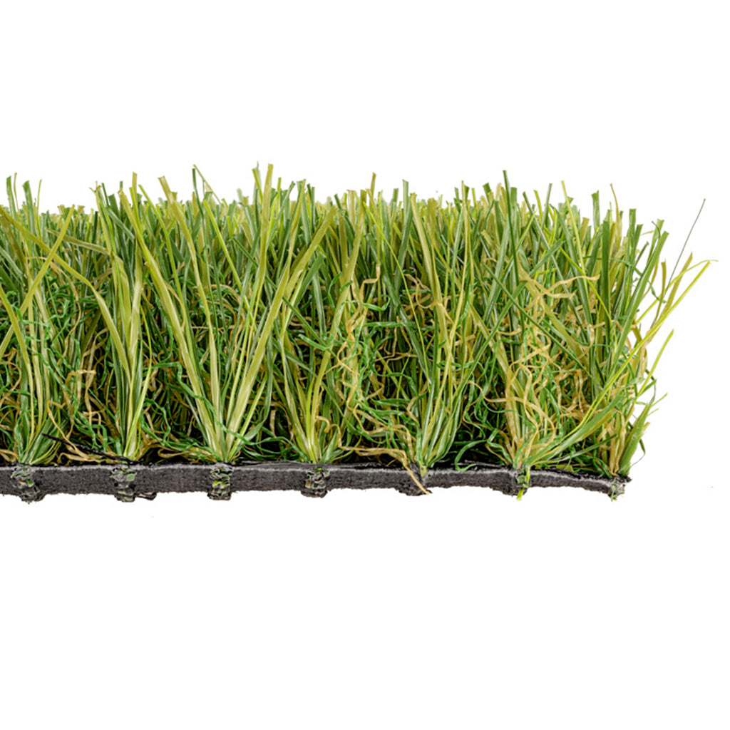 CAMPIONE TRADIZIONE 50mm