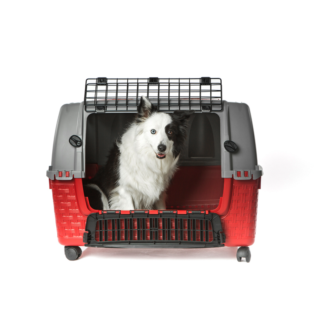 TRASPORTINO AUTO EASY TOUR cm 88x52x60 - col. bordeaux