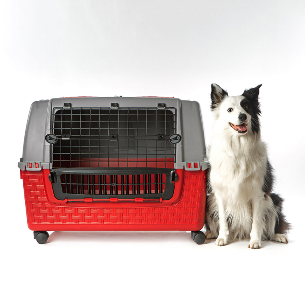 TRASPORTINO AUTO EASY TOUR cm 88x52x60 - col. bordeaux