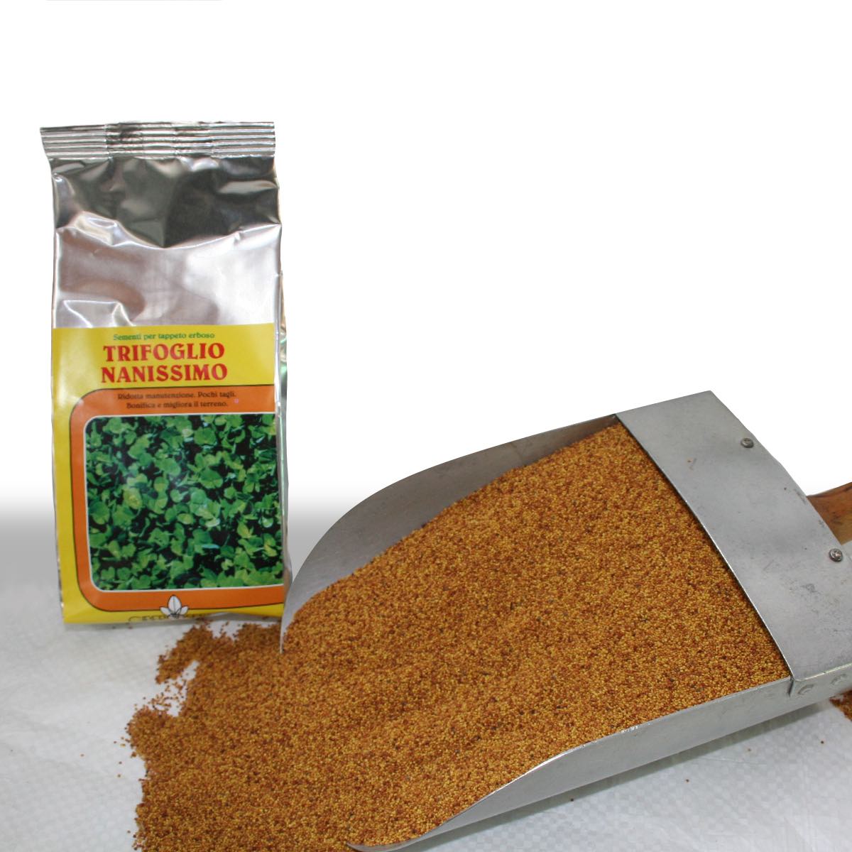 SEME GIBER SEEDS TRIFOGLIO REPENS NANISSIMO - Kg 0,5