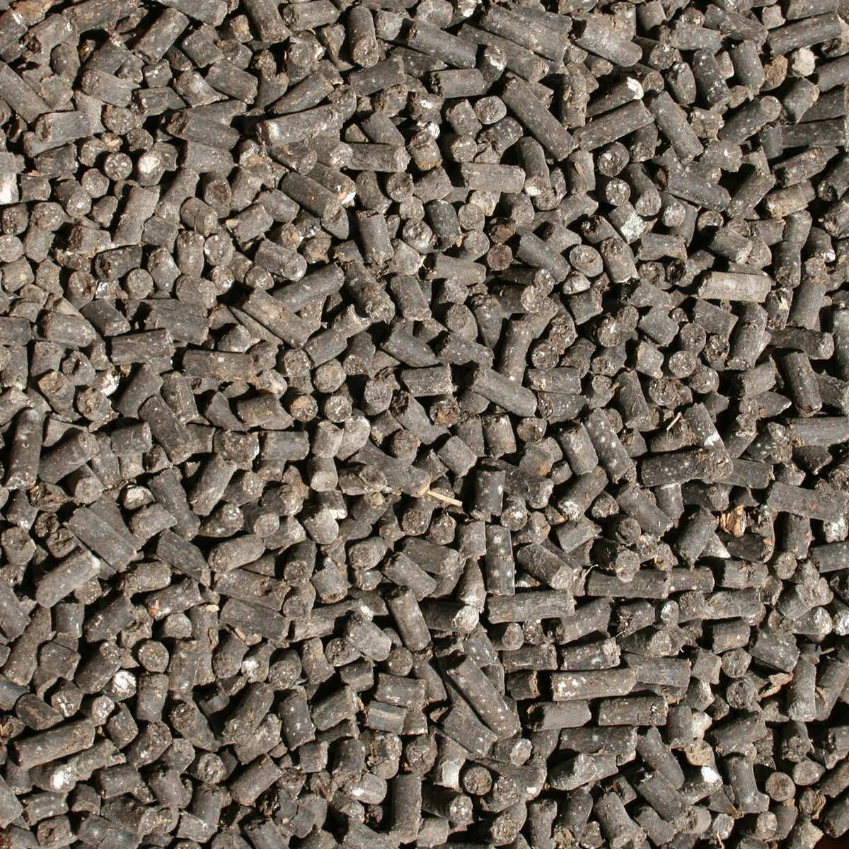 BIOSTALL - Kg 4 - BIO