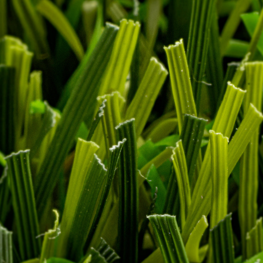 PRATO SINTETICO VIVO 45 mm