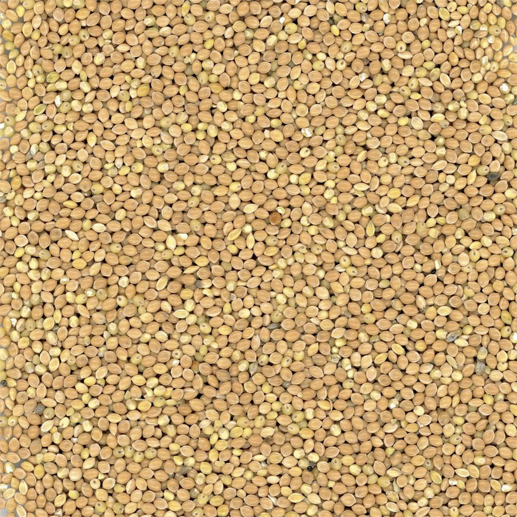 MIGLIO GIALLO - Kg 20