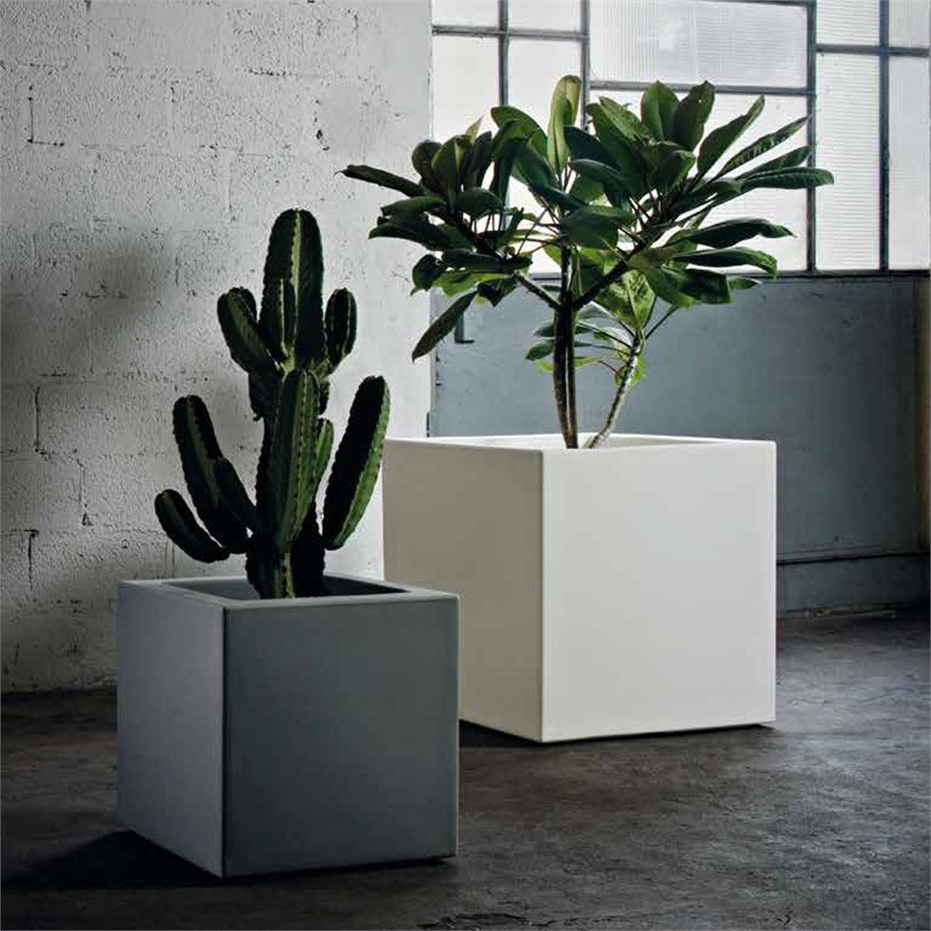 CUBO FENICE - varie tipologie