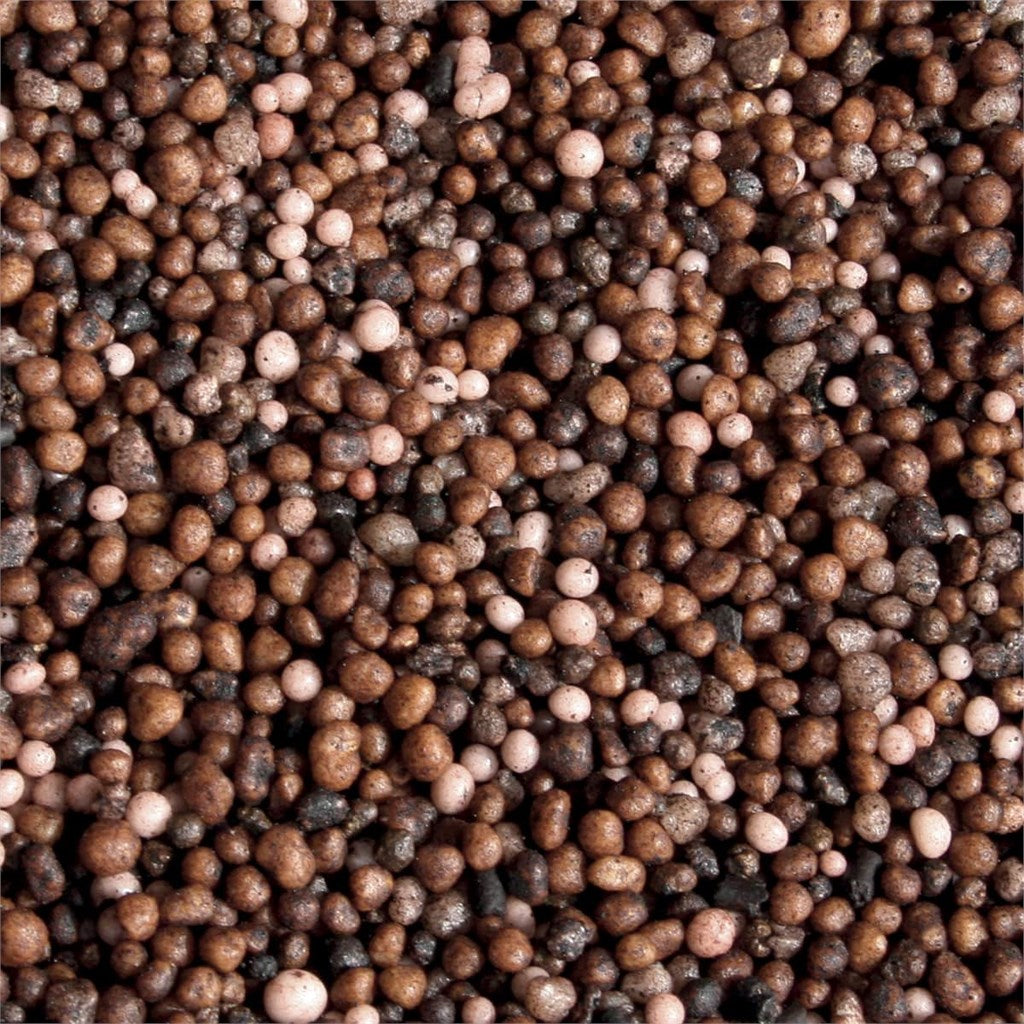 PLANTASLOW 3-4m CYCAS (16-7-13+2MgO+Fe+Mn) - 3/4 MESI - con Sequestrene LIFE e Manganese - Kg 25