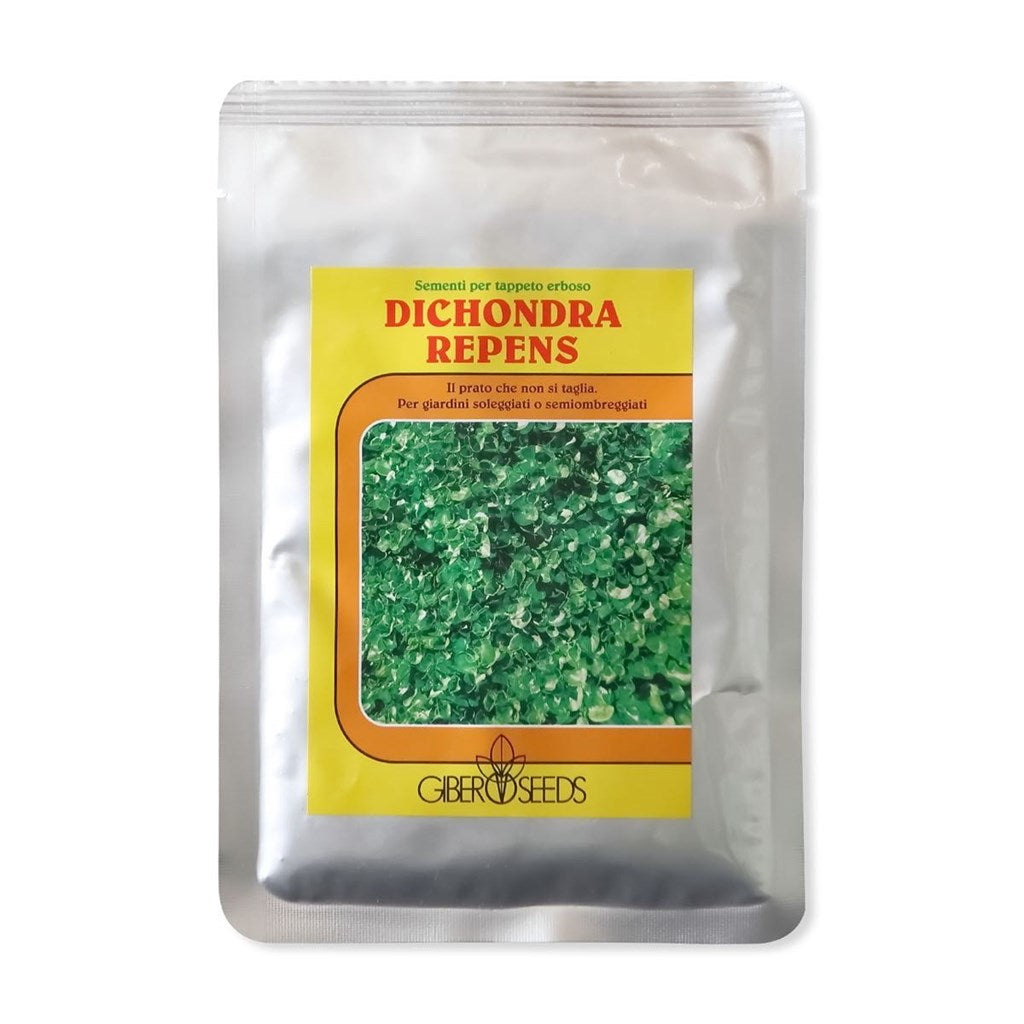 SEME GIBER SEEDS DICONDRA REPENS - da Kg 0,1 a Kg 5