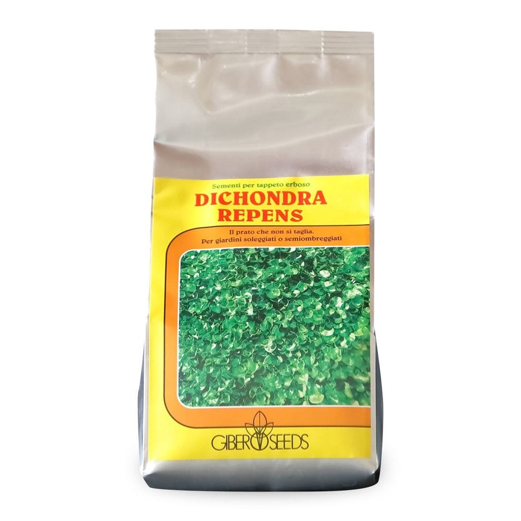 SEME GIBER SEEDS DICONDRA REPENS - da Kg 0,1 a Kg 5