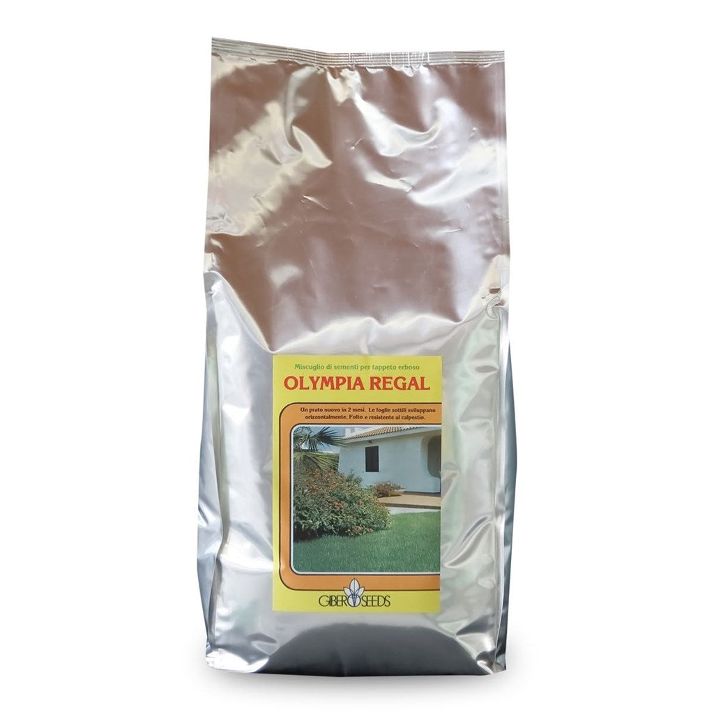 MISCUGLIO SEME GIBER SEEDS OLYMPIA REGAL - da Kg 1 a Kg 5